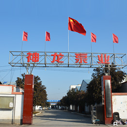 公司優(yōu)勢(shì)